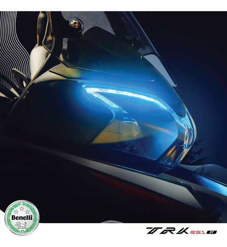 Imagen 8 de 21 de Benelli Trk 251 Abs