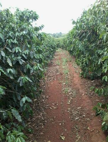 Sítio À Venda, 242000 M² Por R$ 1.750.000,00 - Zona Rural - Aguaí/sp - Si0057