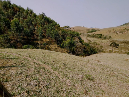Imagem 2 de 19 de Terreno Escriturado À Venda Em Piracaia/sp - 1000 - 34968879