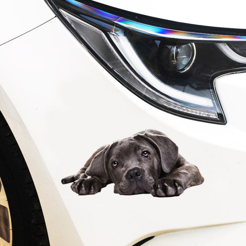 Pegatinas De Simulación 3d Para Perros Y Coches, Estilo 4, P