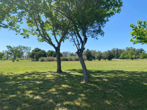 Lote En Venta En La Reserva Cardales