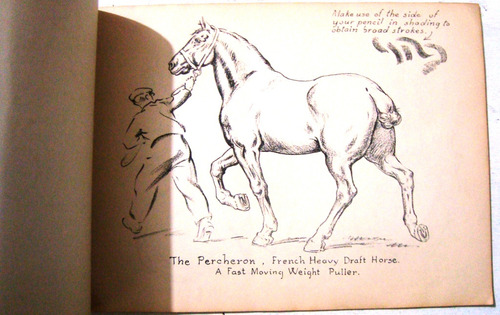 Dibujo Arte Caballos Drawing Horses Tinta Lapiz 1946 Pitman (Usado)