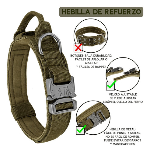 Tovendor 01 Correas para perros color verde tamaño M