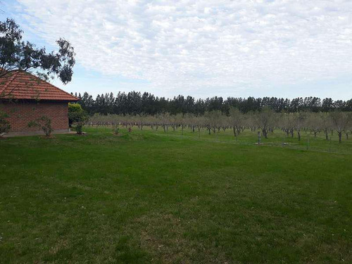 Venta Chacra Permuta Colonia Montevideo Punta Del Este Buenos Aires