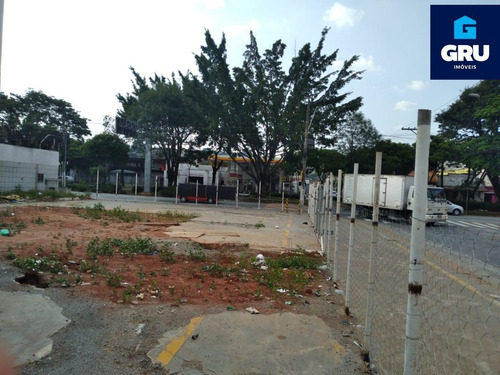 Imagem 7 de 8 de Excelente Terreno Plano - Te1282