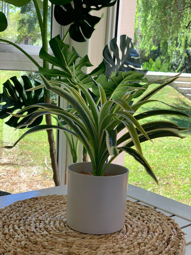 Imagen 2 de 10 de Plantas Artificiales De Escritorio Combo Pack X2