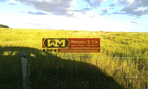 Venta Campo Florida 720 Has Agrícola Ganadero Completo