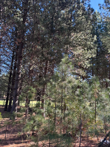 Terreno En Barrio Chapelco Golf