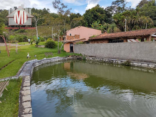 Chácara Maravilhosa Com 03 Dormitórios, Piscina, Espaço Gourmet, Pomar, Lago, À Venda, 4500 M² Por R$ 530.000 - Zona Rural - Pinhalzinho/sp - Ch0919