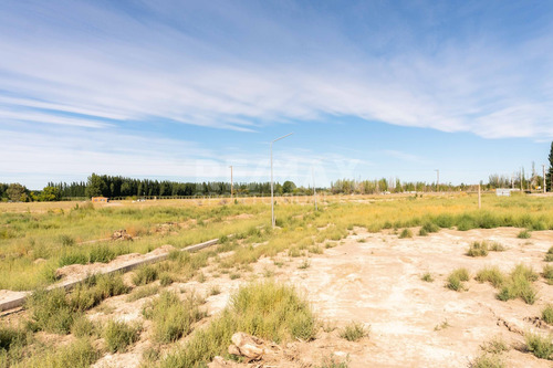 Imagen 2 de 7 de En Venta Loteo Aeropuerto Neuquén Capital