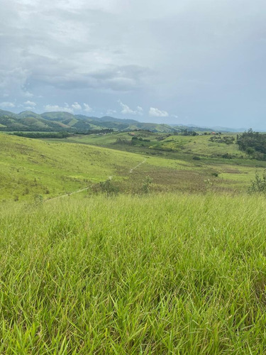 Imagem 18 de 30 de G03- Lotes Para Morar Com Sua Família Em Jacareí