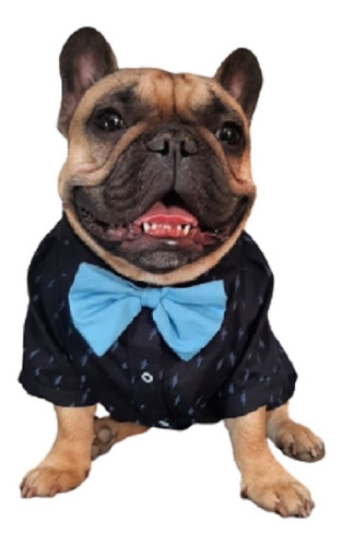 Remeras Camisas Ropa Para Perros Y Gatos Doggys
