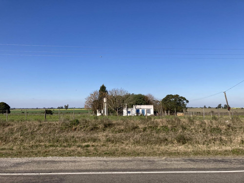 Imagen 2 de 18 de Chacra De 6 Hectáreas Con Vivienda Frente A Ruta 7