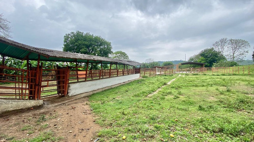 Imagen 13 de 14 de I.l Se Vende Finca En San Antonio De Caparo