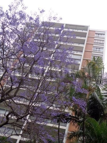 Imagem 14 de 15 de Apartamento - Higienopolis - Ref: 100701 - V-100701