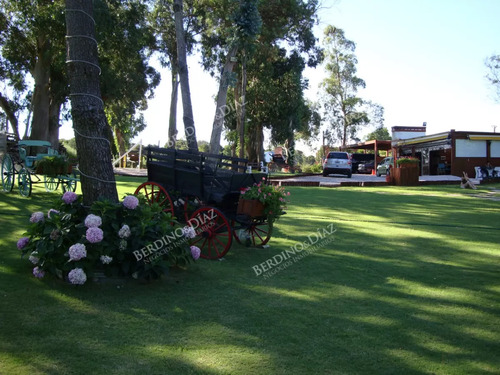 Chalet En Golf De Punta Del Este