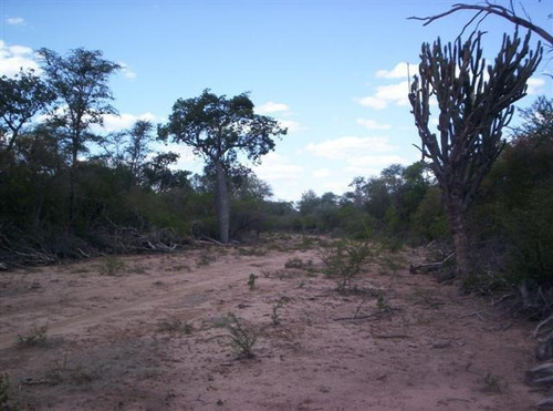Imagen 2 de 9 de Campo De 63.000 Has. En Salta