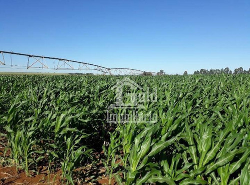 Fazenda À Venda, Com 160 Alqueires Por R$ 40.000.000 - Zona Rural - Tupaciguara/mg - Fa0138