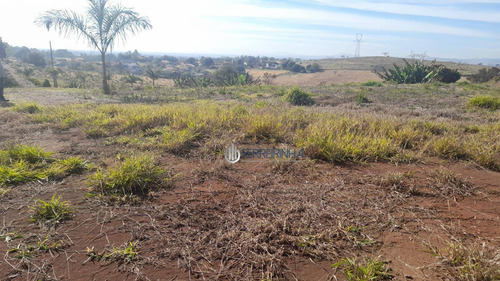 Imagem 5 de 22 de Chácara Repleta De Árvores Frutíferas - Ch0032