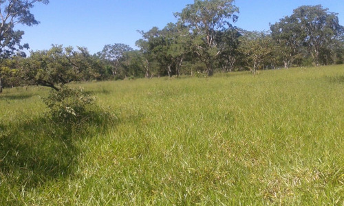 Fazenda A Venda 117 Hectares Com Granja Centro-oeste De Mg - 14532