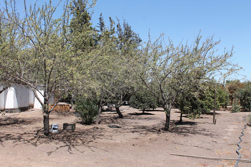Parcela Con Casa En El Centro De Colina (100892)