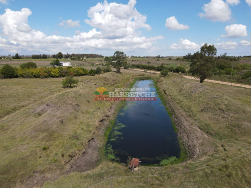 Imagen 19 de 23 de Chacra En Venta, Canelón Chico, 3 Has, Muy Linda Casa!