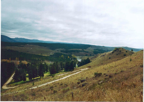 Imagen 9 de 9 de Vendo Campo 10,5 Ha San Miguel Del Rio