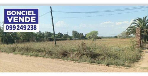 Amplio Terreno En Excelente Ubicación