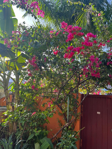 Gazcue Alquiler Apartamento Amueblado De 1 Habitacion, Facil Acceso Zona Universitaria, Uasd, Miraflores, Zona Colonial, Santo Domingo, Escuela Judicatura, Don Bosco, Unibe, Apec, Uce, Utesa, Gascue