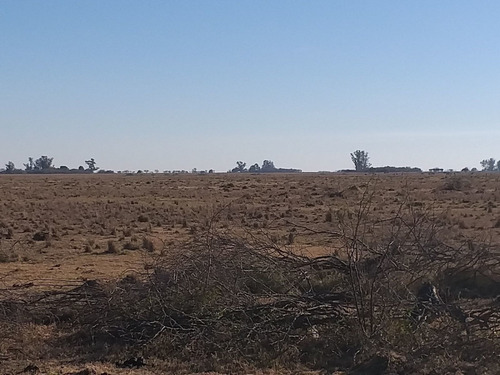 Imagen 10 de 13 de Vendo 90 Hectareas Ganaderas En Ucles, Cba