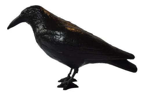 comprar Ahuyenta Espanta Palomas - Raven - El Cuervo Negro