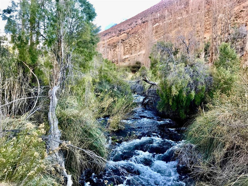 Parcela En Venta Alcohuaz Valle Elqui Orilla Rio