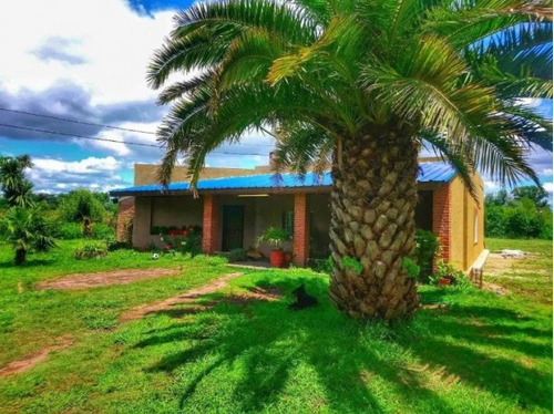 Importante Casa De Campo, Lote De 4600 M2!!