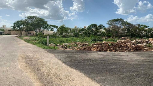 Imagen 11 de 12 de Macrolote En Venta En Conkal
