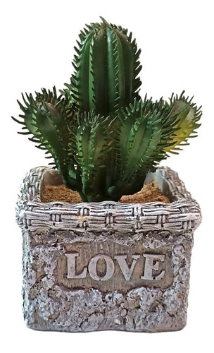 Adorno Cactus Con Base