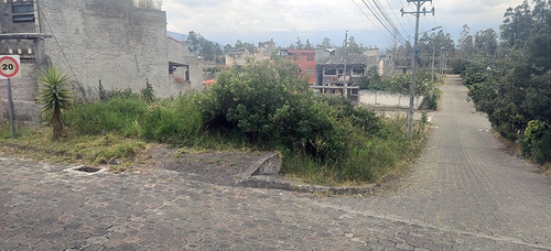Imagen 6 de 13 de Terreno Urbanizacion El Manantial
