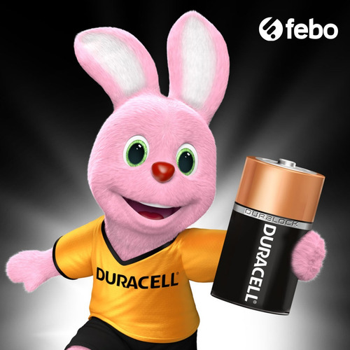 Pilas Duracell Alcalinas Grandes D Super Oferta!!