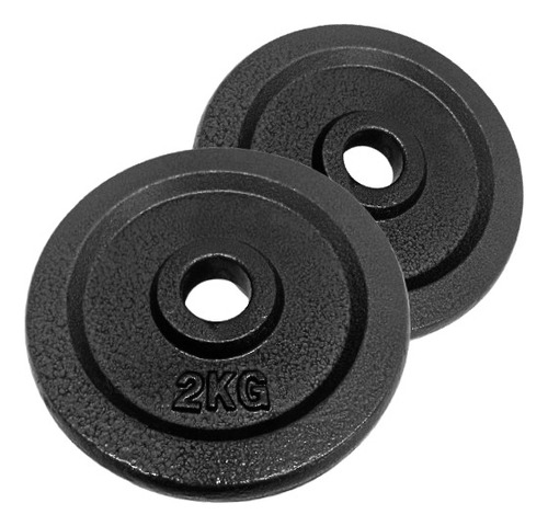 Par De Anilhas 2kg De Ferro Para Halter Academia - Dsr Cor Cinza
