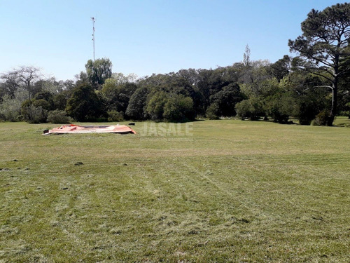Imagen 4 de 7 de 3.8 Has Casa Quinta - Atalaya, Ptdo Magdalena, Buenos Aires