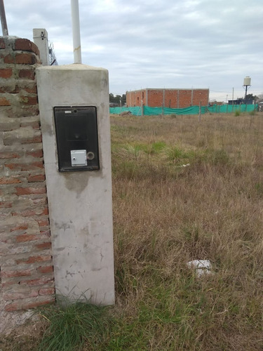 Imagen 1 de 3 de Venta De Terreno En Domselaar Sobre Ruta 210
