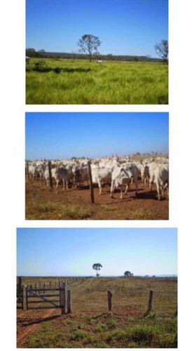 Imagem 6 de 9 de Fazenda À Venda 2 Bilhoes De Reais