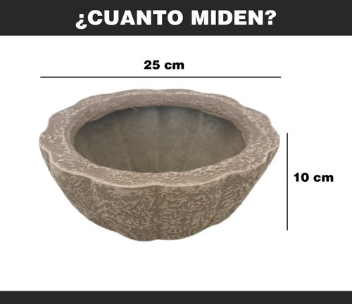 Imagen 6 de 6 de Maceta Minimalista Tazón Mejor Que Fibra De Vidrio .3 Color Beige