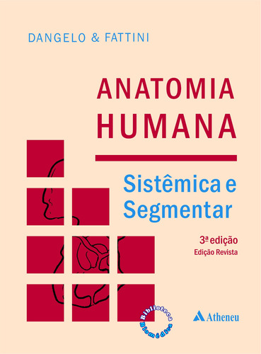 Anatomia humana sistêmica e segmentar, de Fattini, Carlo Américo. Editora Atheneu Ltda, capa mole em português, 2011