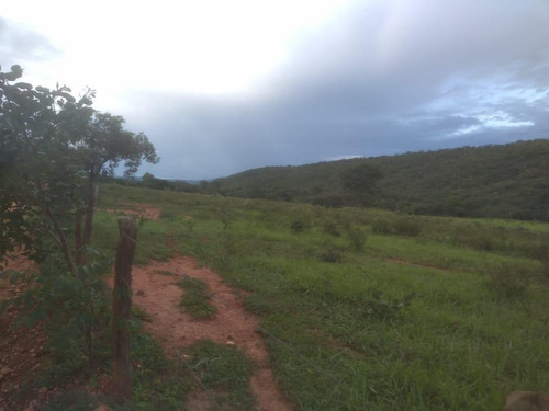 Fazenda Para Venda Em Monjolos, Quebra Pé, 4 Dormitórios, 1 Banheiro - F16_1-1713401