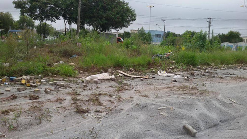 Terreno Para Alugar, 7300 M² Por R$ 70.000,00/mês - Vila Sacadura Cabral - Santo André/sp - Te1009