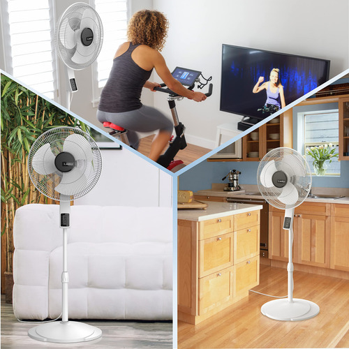 Ventilador De Pedestal Lasko S16614 Oscilante De 4 Velocidad