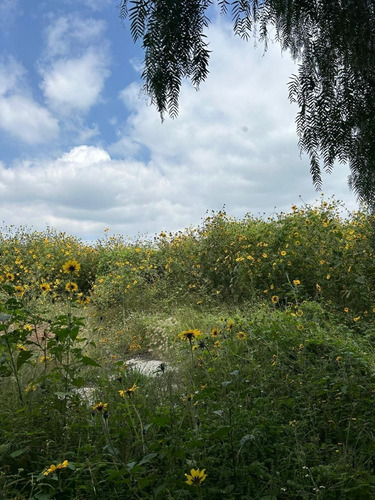 Terreno En Venta Texcoco San Luis Huexotla