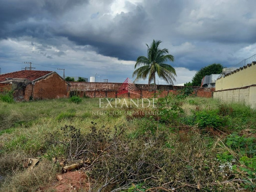 Imagem 3 de 4 de Terreno Vila Antártica - Te00360