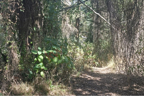 Terreno En Venta, Ideal Para Desarrolladores