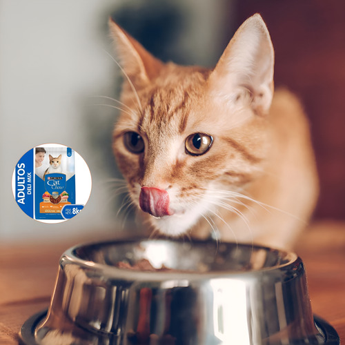 Cat Chow Delimix 19.5kg